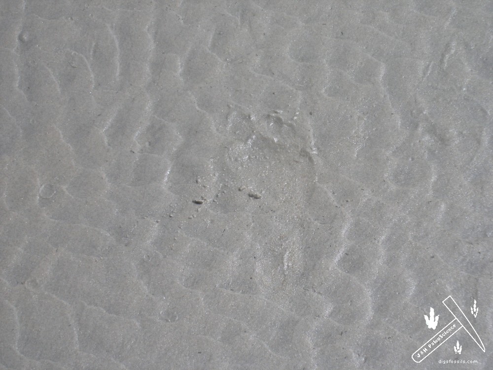 beach sand expression