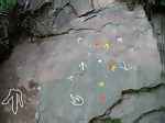 Same slab but the prints and trackways are highlighted